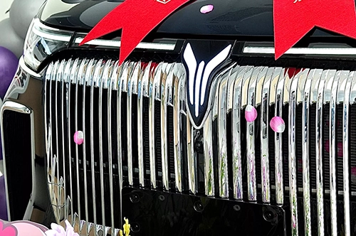 China s electric car 